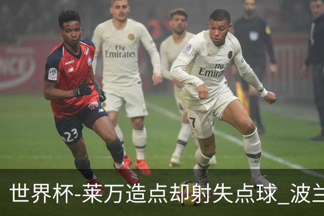 世界杯-莱万造点却射失点球 波兰交白卷平墨西哥