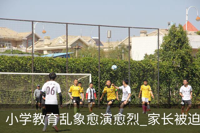 小学教育乱象愈演愈烈 家长被迫负重前行 纯粹义务教育早已偏离初心