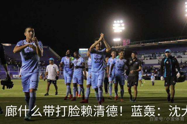 廊什么带打脸赖清德！蓝轰：沈大草包