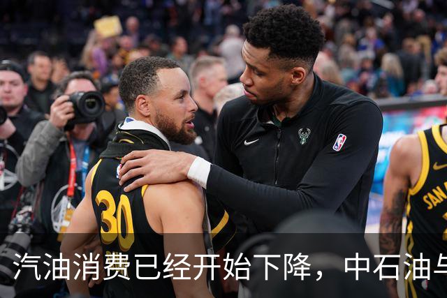 汽油消费已经开始下降，中石油与中石化为何还要大举扩建加油站？