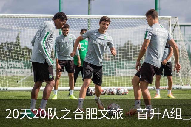 20天20队之合肥文旅｜首升A组 广东新锐加盟补强内外援框架落定
