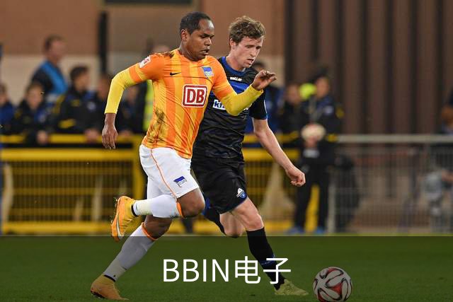 BBIN电子公司简介配图